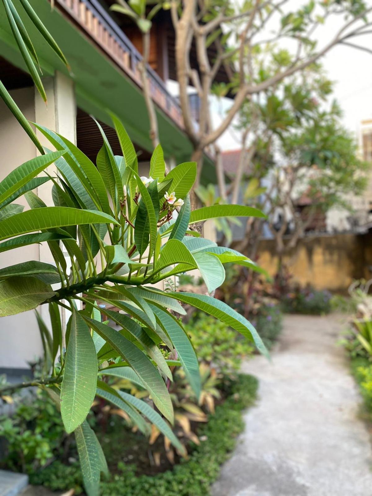 Putra'Lebah Amed Guest House Exteriör bild