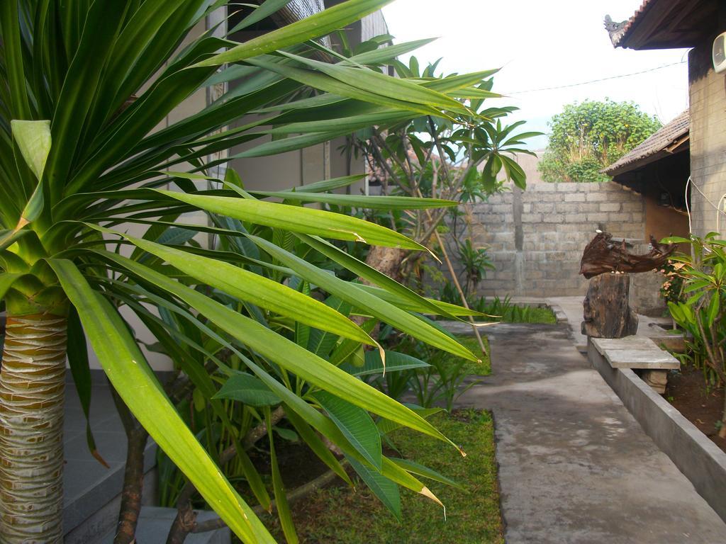 Putra'Lebah Amed Guest House Exteriör bild